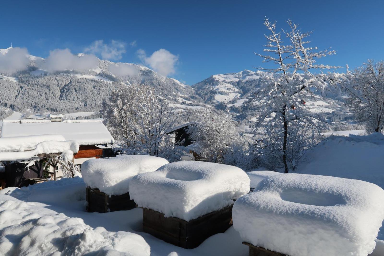 Retro Apartment Kitzbuehel Εξωτερικό φωτογραφία